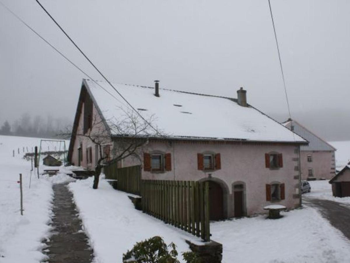 Gite Paisible A 650M D'Alt., Nature, Cheminee, 3 Ch. Pres De Remiremont & Plombieres, Terrasse, Grand Terrain - Fr-1-589-50 Girmont-Val-d'Ajol Exterior photo